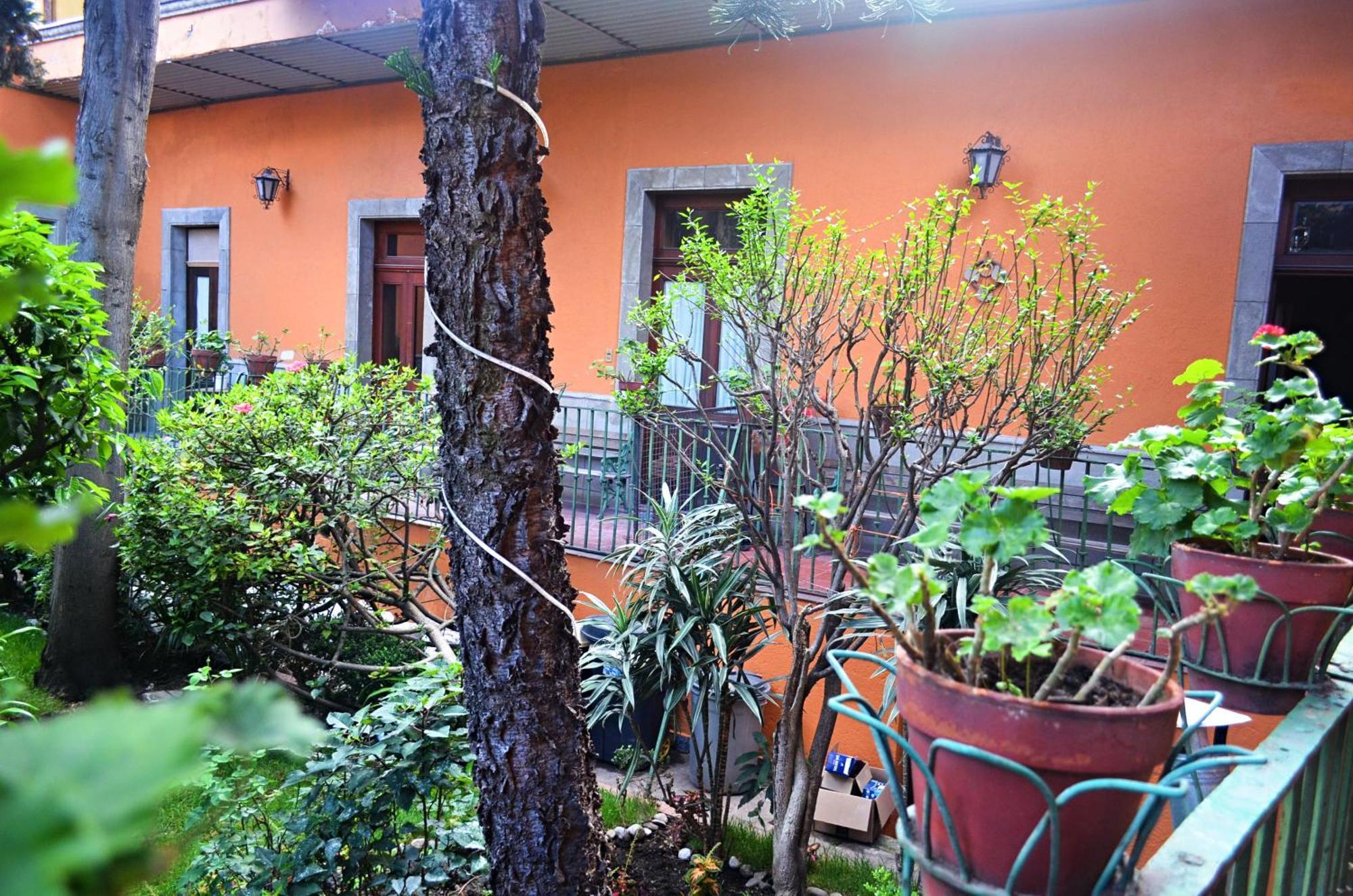 Hacienda Gobernadores Мехіко Екстер'єр фото