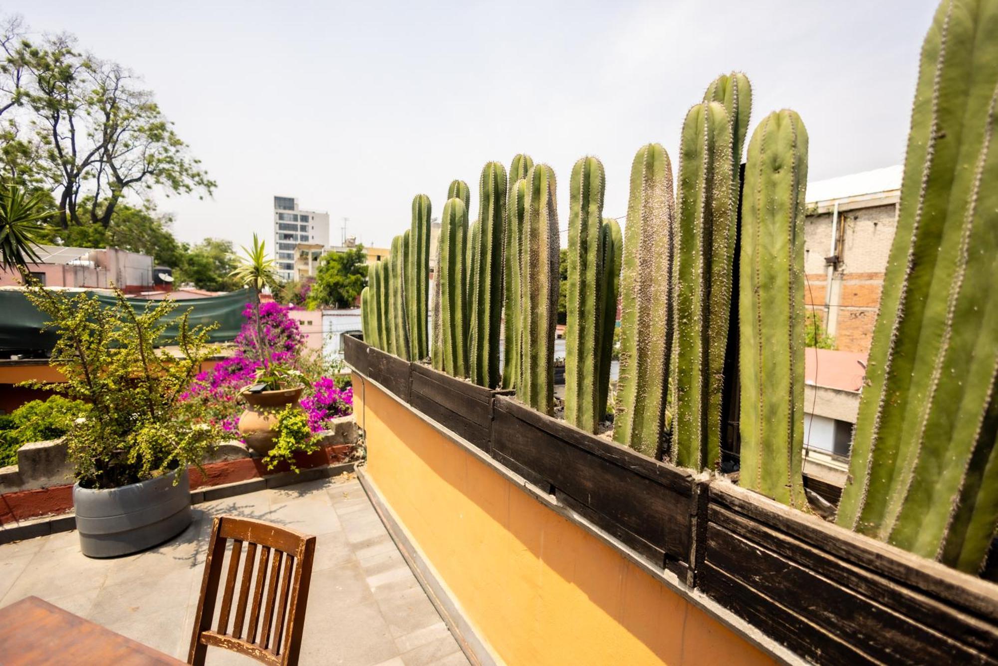 Hacienda Gobernadores Мехіко Екстер'єр фото