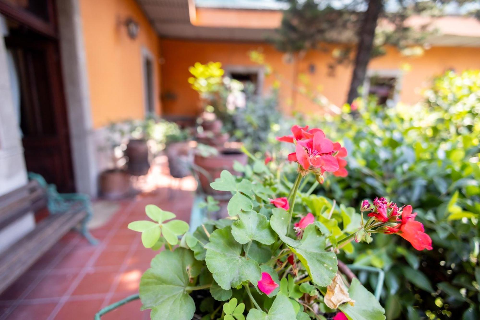 Hacienda Gobernadores Мехіко Екстер'єр фото